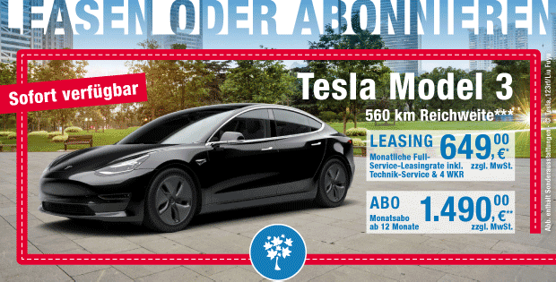 Tesla_Landing